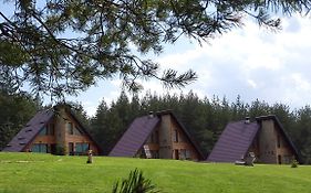 Forest Houses,Форест Хаусис
